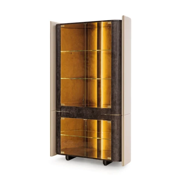 Tailored Whiskey Display Cabinet with LED Lighting Design